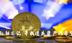 比特币钱包私钥忘记：寻找遗失资产的希望与解