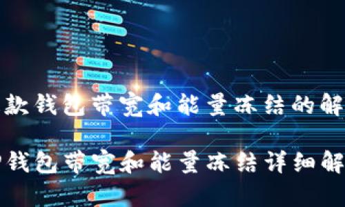 提款钱包带宽和能量冻结的解析

TP钱包带宽和能量冻结详细解析