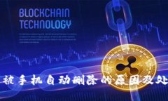 TP钱包被手机自动删除的原