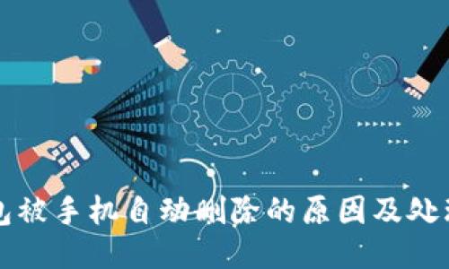 TP钱包被手机自动删除的原因及处理方法