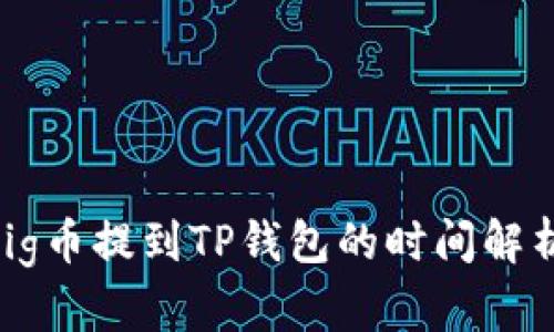  pig币提到TP钱包的时间解析 