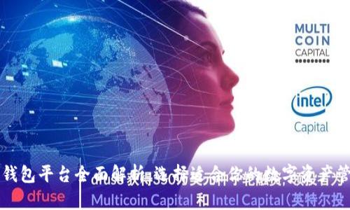区块链钱包平台全面解析：选择适合你的数字资产管理工具