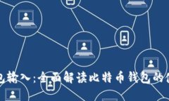 比特币钱包输入：全面解