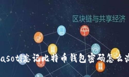 biasoti忘记比特币钱包密码怎么办？