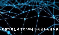 如何在TP钱包中进行BIG币博