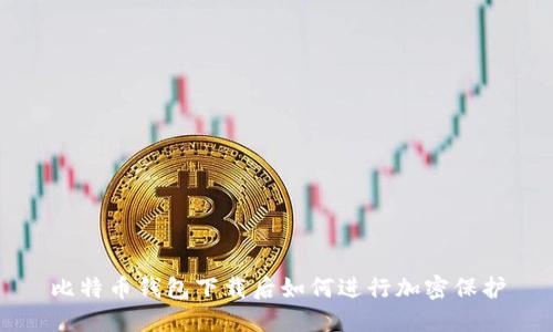 比特币钱包下载后如何进行加密保护
