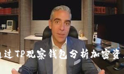 如何通过TP观察钱包分析加密资产动态