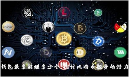 比特币钱包最多能赚多少个：探讨比特币投资的潜力与风险
