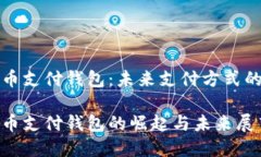 虚拟币支付钱包：未来支