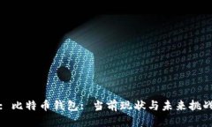 : 比特币钱包: 当前现状与