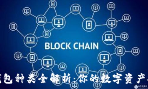  
比特币钱包种类全解析：你的数字资产安全之路