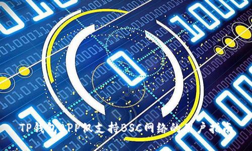 TP钱包APP仅支持BSC网络的用户指南