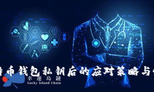 丢失比特币钱包私钥后的应对策略与恢复方法