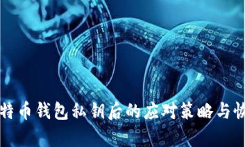 丢失比特币钱包私钥后的应对策略与恢复方法