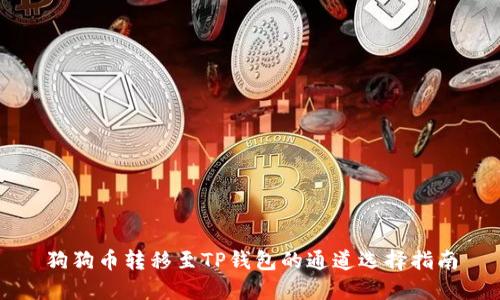 狗狗币转移至TP钱包的通道选择指南