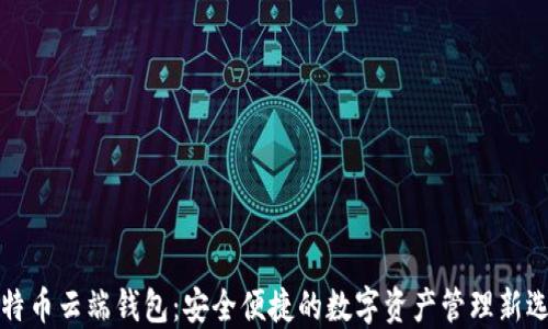 
比特币云端钱包：安全便捷的数字资产管理新选择
