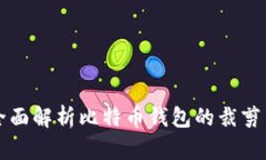 全面解析比特币钱包的裁
