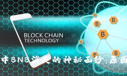 揭开TP钱包中BNB消失的神秘面纱：原因与解决方案