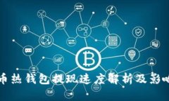 比特币热钱包提现速度解
