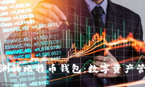 探索孔庆洲的比特币钱包：数字资产管理的先锋