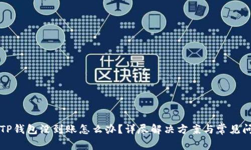 提币到TP钱包没到账怎么办？详尽解决方案与常见问题解析