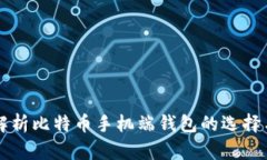全面解析比特币手机端钱