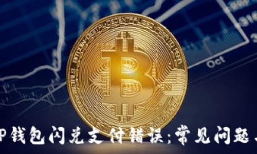   
如何解决TP钱包闪兑支付错误：常见问题与解决方案