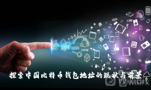 探索中国比特币钱包地址的现状与前景