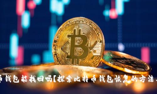 比特币钱包能找回吗？探索比特币钱包恢复的方法与技巧