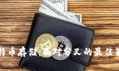 比特币存储：面对分叉的最佳策略