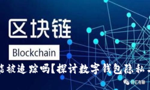 TP钱包能被追踪吗？探讨数字钱包隐私与安全性
