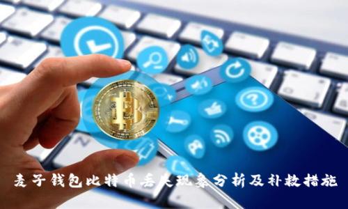 麦子钱包比特币丢失现象分析及补救措施