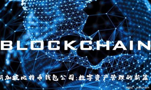 新加坡比特币钱包公司：数字资产管理的新篇章