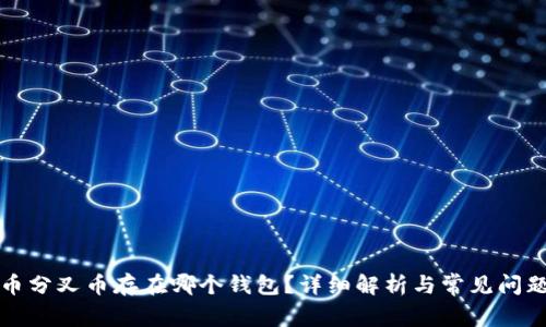 比特币分叉币存在哪个钱包？详细解析与常见问题解答
