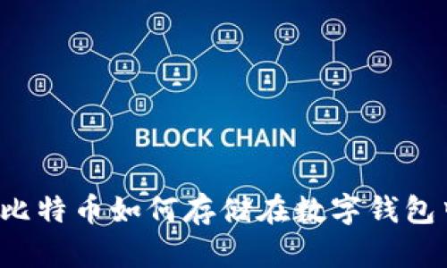  比特币如何存储在数字钱包中