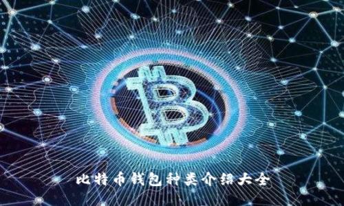 比特币钱包种类介绍大全