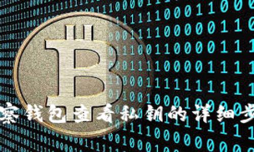 如何通过TP观察钱包查看私钥的详细步骤与注意事项