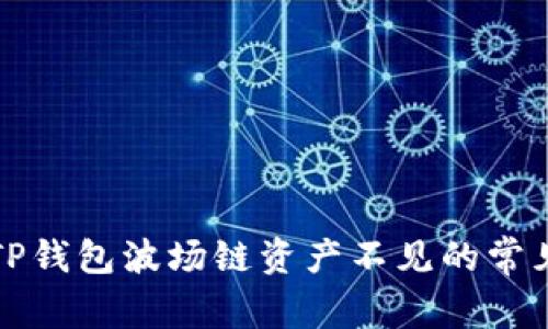 解决TP钱包波场链资产不见的常见问题