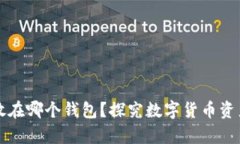 比特币存放在哪个钱包？探究数字货币资产安全