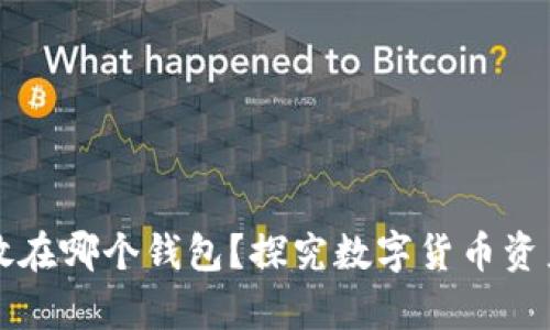 比特币存放在哪个钱包？探究数字货币资产安全管理