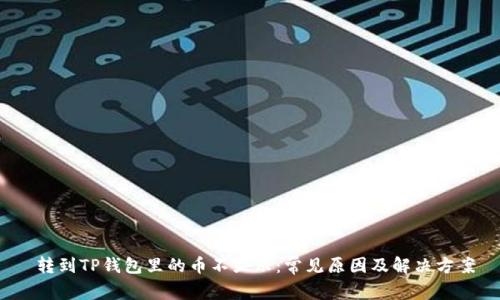  转到TP钱包里的币不显示：常见原因及解决方案