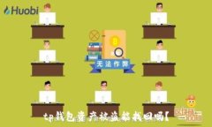   tp钱包资产被盗能找回吗