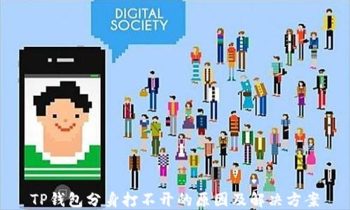 
TP钱包分身打不开的原因及解决方案