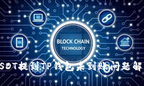 USDT提到TP钱包未到账问题解析
