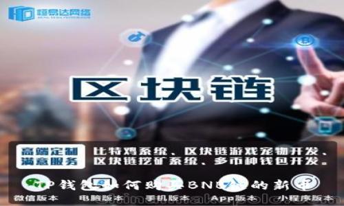 TP钱包如何购买BNB链的新币