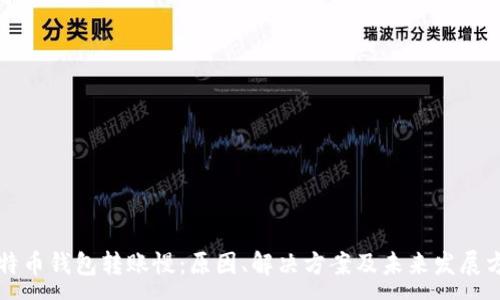 :
比特币钱包转账慢：原因、解决方案及未来发展方向