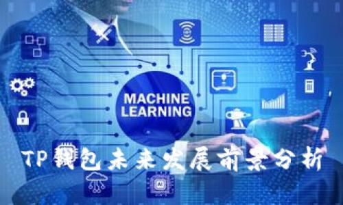 TP钱包未来发展前景分析