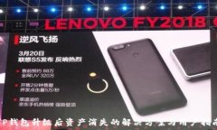   TP钱包升级后资产消失的解决方案与用户指南