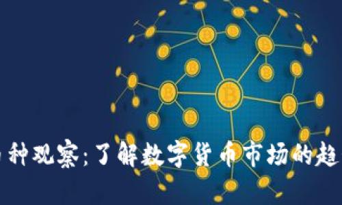TP钱包币种观察：了解数字货币市场的趋势与动态