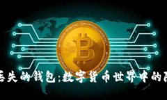比特币丢失的钱包：数字